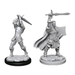 Gametraders Rouse Hill Dungeons & Dragons-Unpainted Male Human Paladin