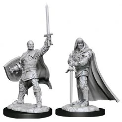 Gametraders Rouse Hill Dungeons & Dragons - Nolzur's Marvelous Unpainted Minis: Human Paladin Male