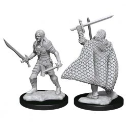 Gametraders Rouse Hill Dungeons & Dragons Pathfinder - Deep Cuts Unpainted Miniatures: Elf Fighter Male