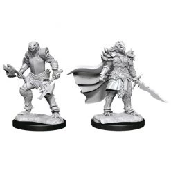 Gametraders Rouse Hill Dungeons & Dragons - Nolzur's Marvelous Unpainted Minis: Dragonborn Fighter Female