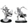 Gametraders Rouse Hill Dungeons & Dragons - Nolzur's Marvelous Unpainted Minis: Air Genasi Female 1 Gametraders Rouse Hill Dungeons & Dragons - Nolzur's Marvelous Unpainted Minis: Air Genasi Female