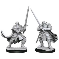 Gametraders Rouse Hill Dungeons & Dragons - Nolzur's Marvelous Unpainted Minis: Half-Orc Paladin Male