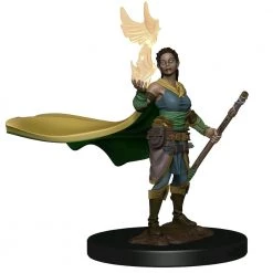 Gametraders Rouse Hill Dungeons & Dragons - Premium Elf Female Druid Miniature