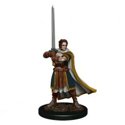 Gametraders Rouse Hill Dungeons & Dragons - Premium Human Fighter Male Miniature