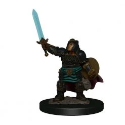 Gametraders Rouse Hill Dungeons & Dragons - Premium Dwarf Paladin Female Miniature