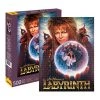 Gametraders Blacktown Aquarius Puzzle Labyrinth Puzzle 500 Pieces Hobby Central